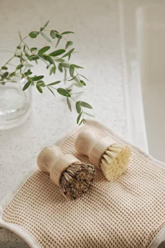 Eco-Friendly Bamboo Dish Brush Set