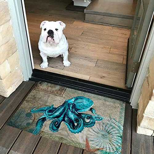 Cozy Cashmere Front Door Mat Anti-Fatigue Kitchen Bathroom Rug
