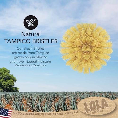 Lola Tampico Original Vegetable Palm Brush Eco-Friendly Comfortable