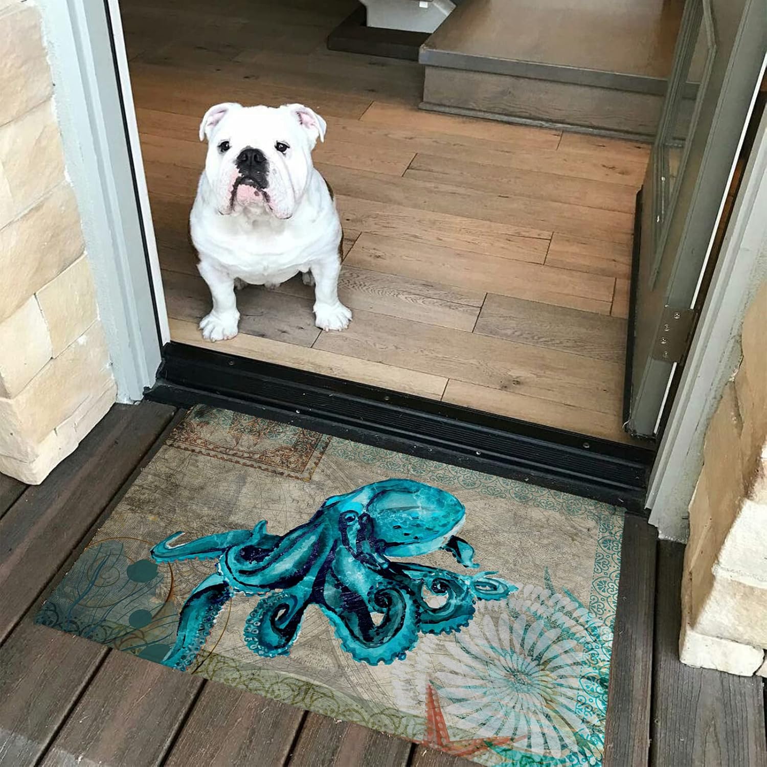 Cozy Cashmere Front Door Mat Anti-Fatigue Kitchen Bathroom Rug